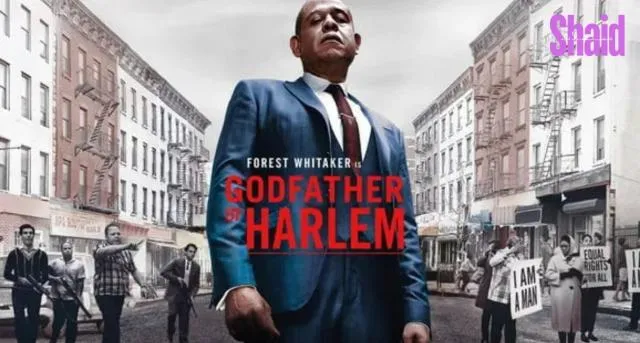 Godfather of Harlem الموسم الرابع